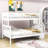 Jovie Twin Over Full Wooden Bunk Bed with Storage Staircase-1367035251