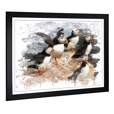Atlantic Puffin Birds - Wall Art