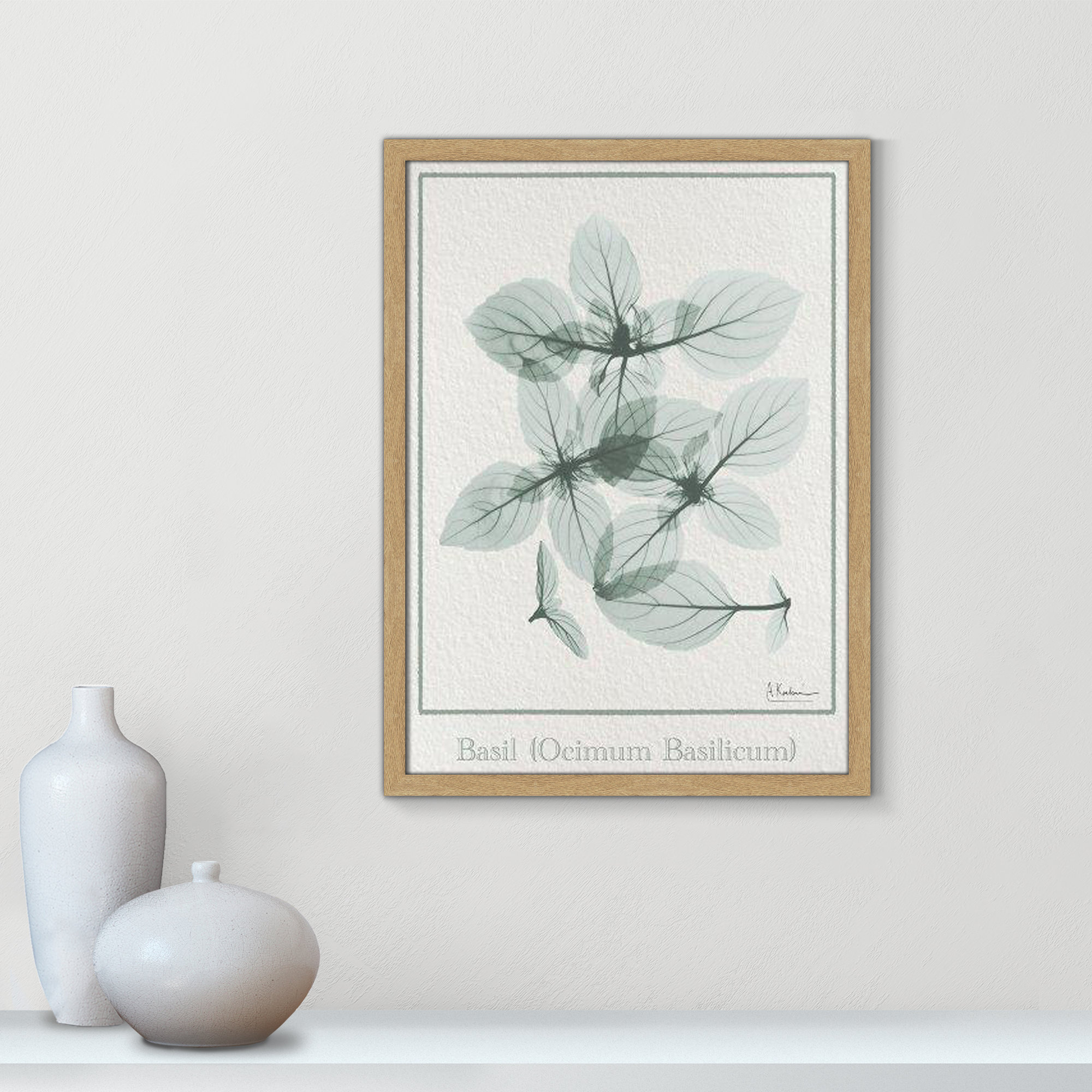 Basil Ocimum Basicicum Framed On Paper by Albert Koetsier Print, 23" H x 17" W x 1.25" D, Brown Framed Paper