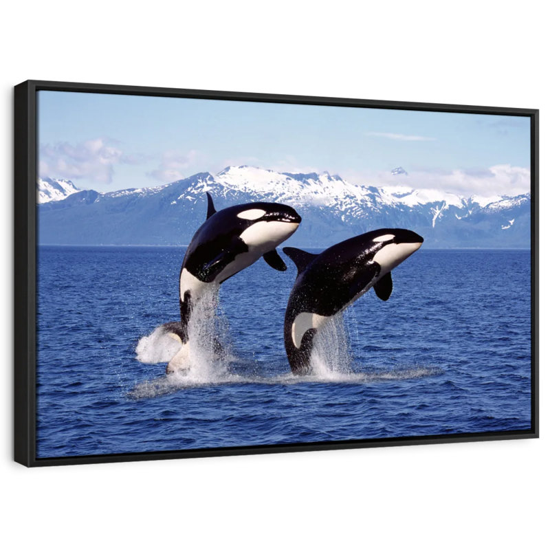 " Jumping Couple Orcas Wall Art ", 13" H x 19" W