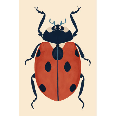 Beetle Bug V by Victoria Barnes - Wrapped Canvas Print