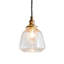 1 - Light Brass Pendant