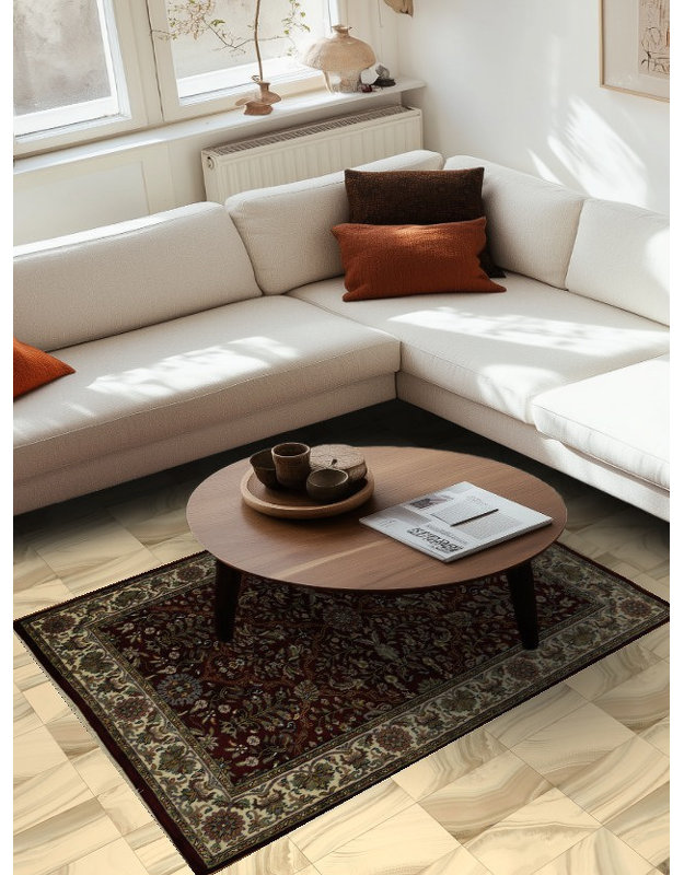 Tapis oriental traditionnel richement conçu 4 x 6