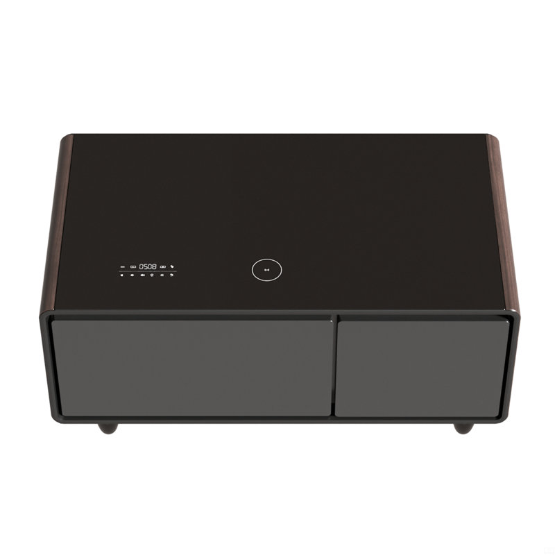 Table basse moderne et intelligente avec réfrigérateur intégré, haut-parleur Bluetooth, chargement sans fil, panneau de commande tactile, ports USB, protection de prise de courant, lumière d'ambiance