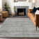 Machine Washable Indoor/Outdoor Claudian ACN1634 Gray Rug