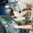 3-in-1 Window Squeegee Cleaner