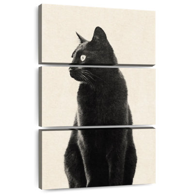Brampt Black Cat Beige