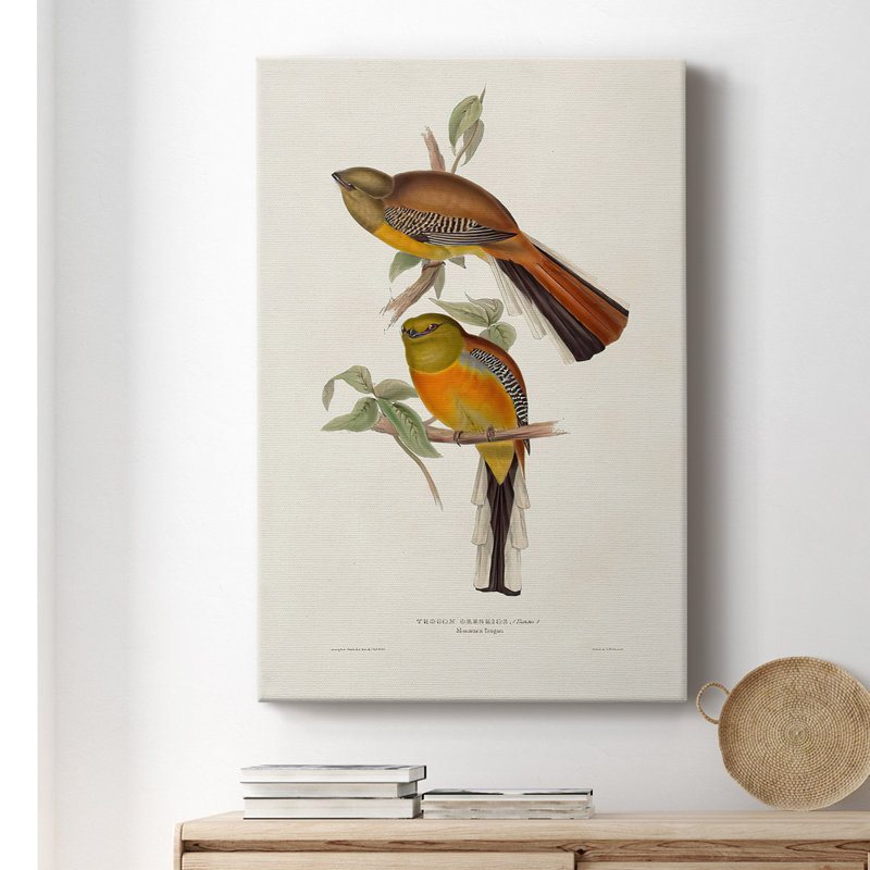 Toile tendue avec châssis Elegant Trogons II - prête à être accrochée, H 48 po x l 32 po x P 1,5 po