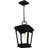Claborn 1-Light Earth Black Outdoor Hanging Lantern