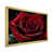 Gold Picture Framed