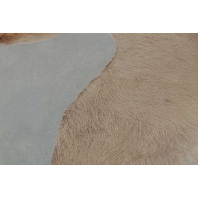 Modern Classics Hand Woven Area Rug