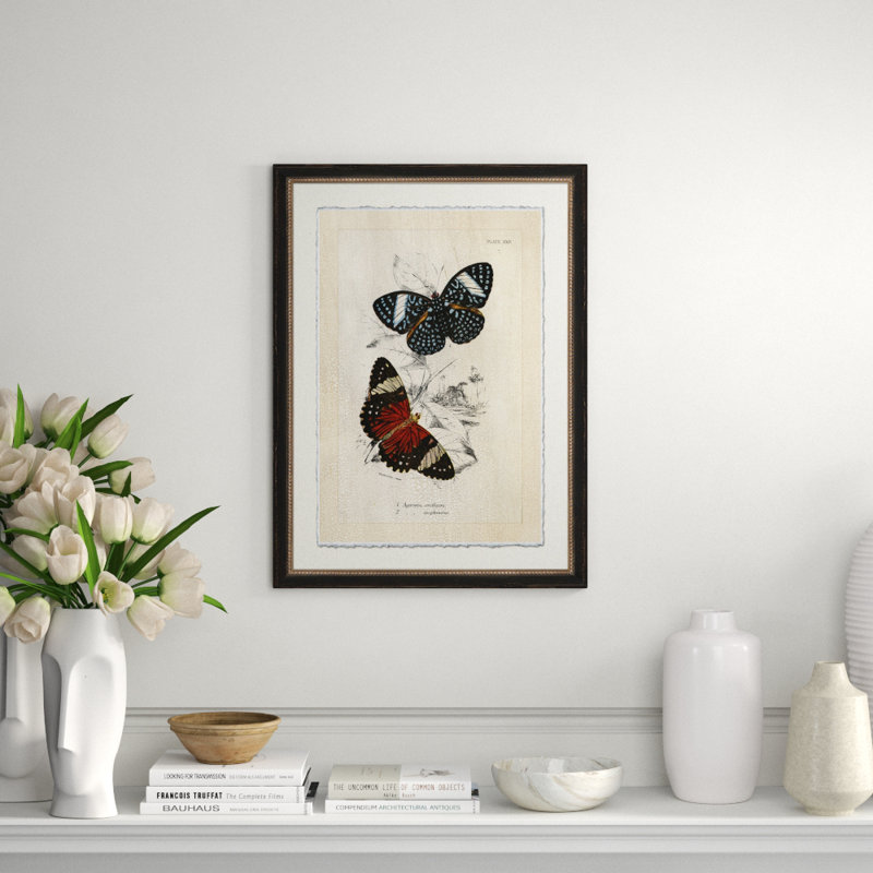Crackled Jardine Butterfly IV Print