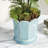 MALINE FOOTED  POT LARGE