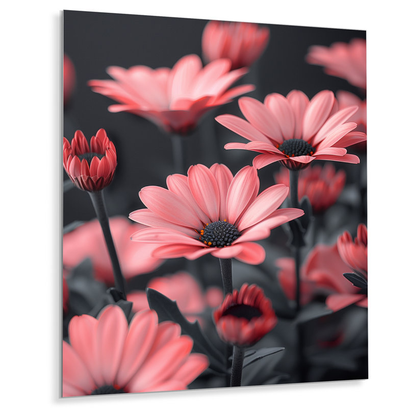 Marguerites roses et noires monochromes photo IV - décorations murales marguerites, Métal métal, H 12 po x l 20 po