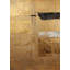 Gilded Contrast