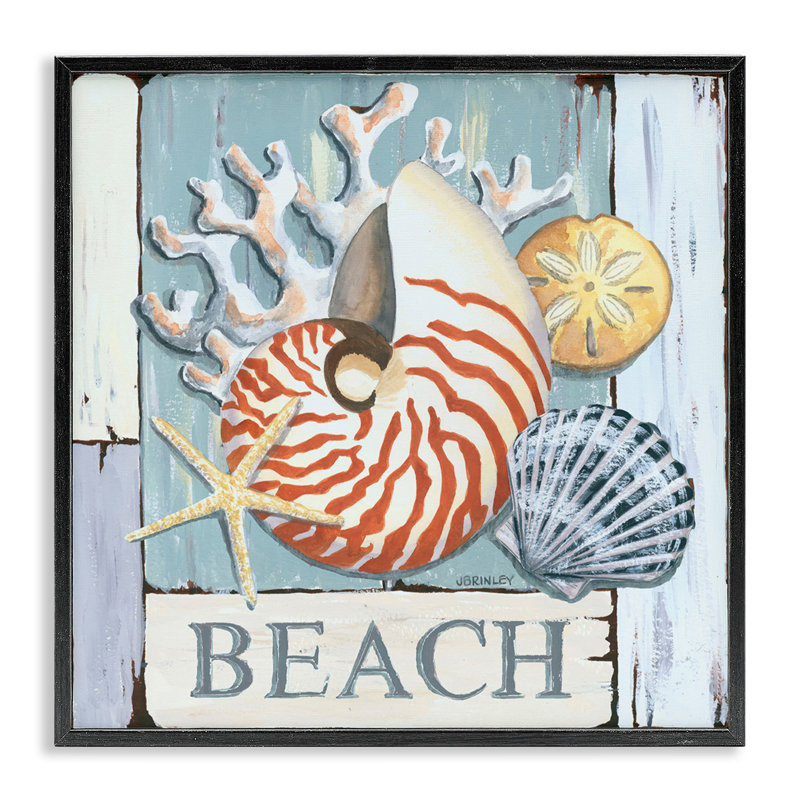 Coquillages de plage patinés, estampe numérique par Jennifer Brinley, H 12 po x l 12 po, Giclée encadrée noir minuit
