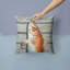  Coussin 14 "Red Fish