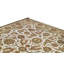Wool Oriental Indoor Rug