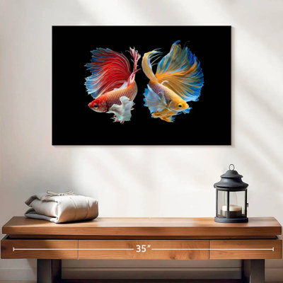 Betta Fish In Sync