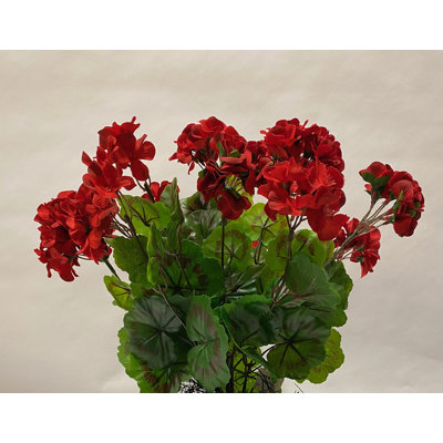 Arrangements floraux de géranium