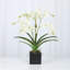 Faux Orchid Plant In White Vase-1049804021-1049804022