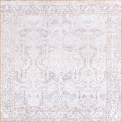 Mcclamma Chenille Oriental Indoor Rug