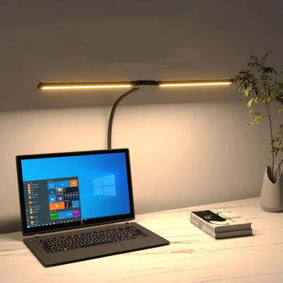 Double Headed LED Desk Lamp