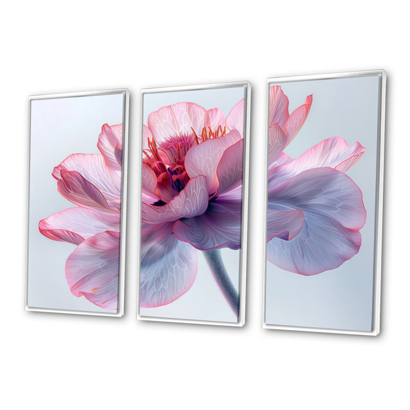 Rose, blanc, souci chaud, photo, souci, ensemble d'art mural, H 32 po x l 48 po x P 1 po, Toile encadrée flottée blanche