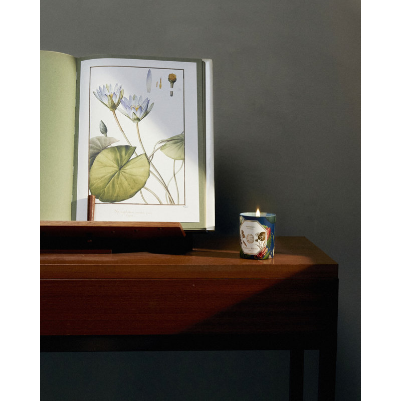 Nymphaea Candle