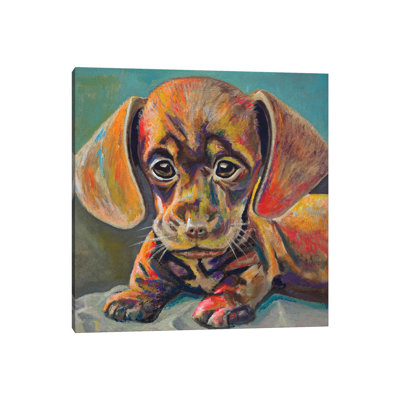 Puppy Face by Andy Beauchamp - Wrapped Canvas Print