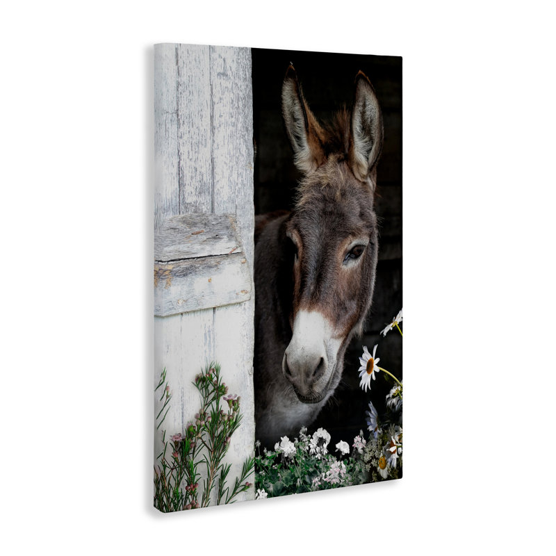 «Gentle Donkey Peering» de Barn Canvas, design par CAD Designs, H 36 po x l 24 po