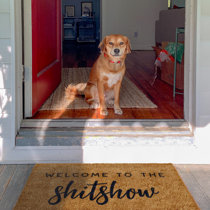 Outdoor Mat - Come Inside - Funny Welcome Mat for Front Entrances