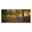 Lever de soleil sur la forêt d'automne - Photographie sur toile-746254761-746254764
