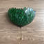Keesler Tiffany Sconces Lamp Green Leaves Stained Glass Half Moon Pull Chain Switch LED Bulb 12"W*6"D*7"H