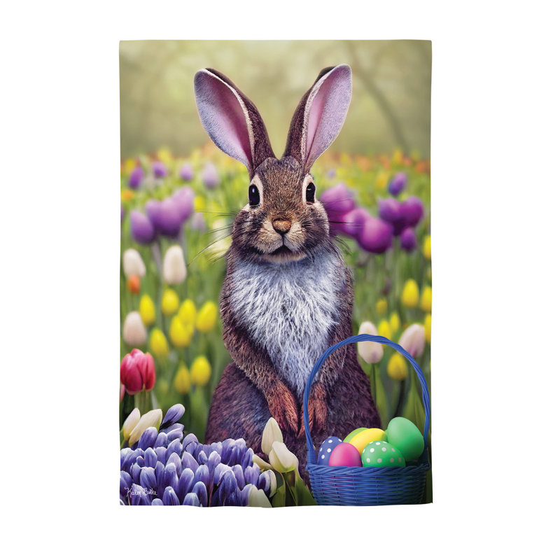 Lapin dans un champ de tulipes