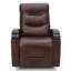 Elvina Genuine Leather Swivel Power Recliner-1577146354