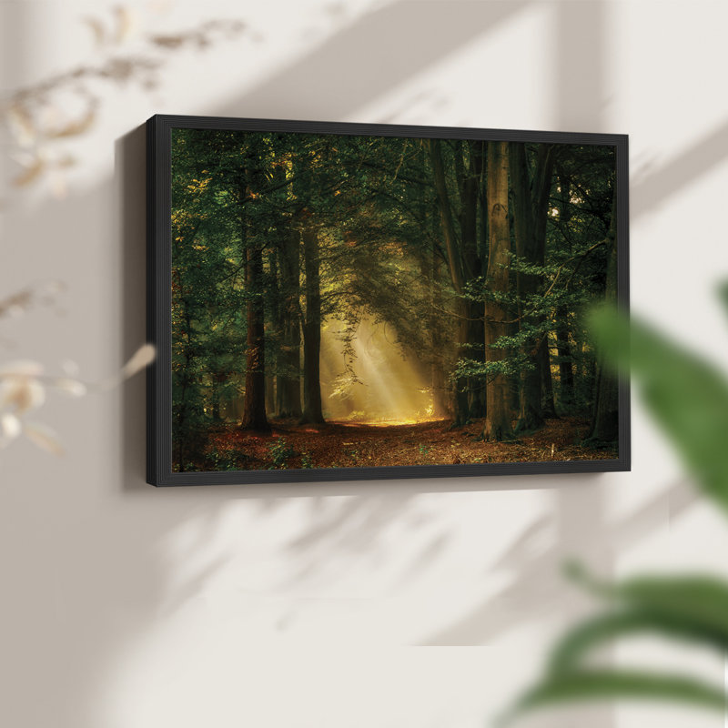Shine On -Framed Print - Restickable, 22" H x 28" W, Black