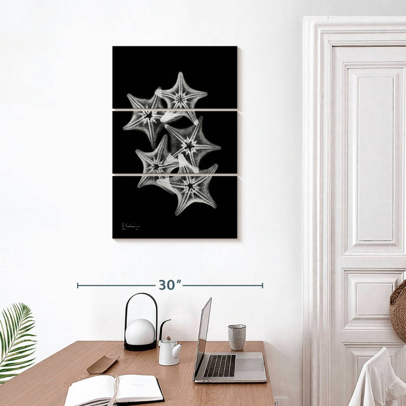 Brampt Starfish Collage, 38" H x 24" W
