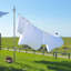 Plastic Clothesline Pole