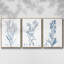 Antique Botanical in Blue I - Ensemble de 3 reproductions de photos sur toile-97760158-97760157