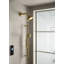Purist® Showerarm and Flange-1523845331