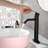 Vessel Bathroom Faucet with Drain Assembly