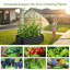 Raised Garden Bed-130670654-130670655