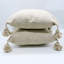 Square Indoor/Outdoor Pillow Cover-167056528