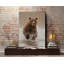 «Bears at Play II», reproduction de photo sur toile tendue-31597519