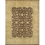 Wool Oriental Area Rug in Beige/Dark Brown