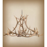 Rieder 6 - Light Chandelier