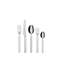 Dry 5 - Piece Stainless Steel Flatware Set - Service for 1
