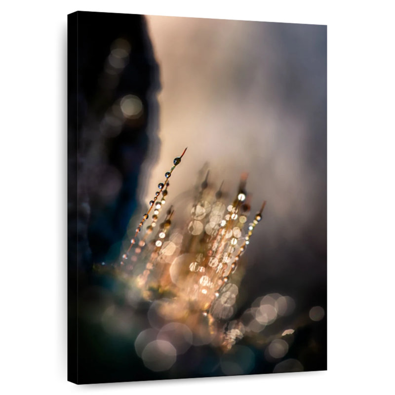 Avery Dazzle, 39" H x 26" W
