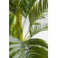 Deco Plant Palm Tree 190cm